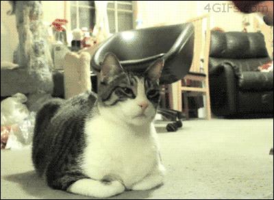 老天爷，给我来场意外吧，让我消失在这个世界