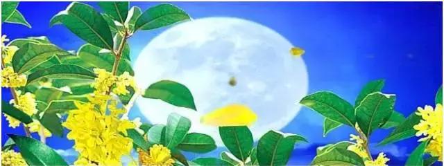 大家厨房餐饮配方,大家厨房