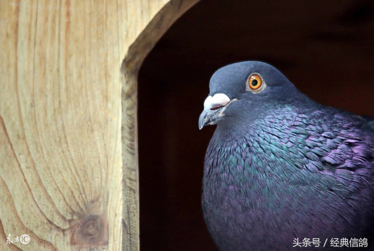 呼吸道对比赛的影响，高手们都是怎么做呼吸道的？