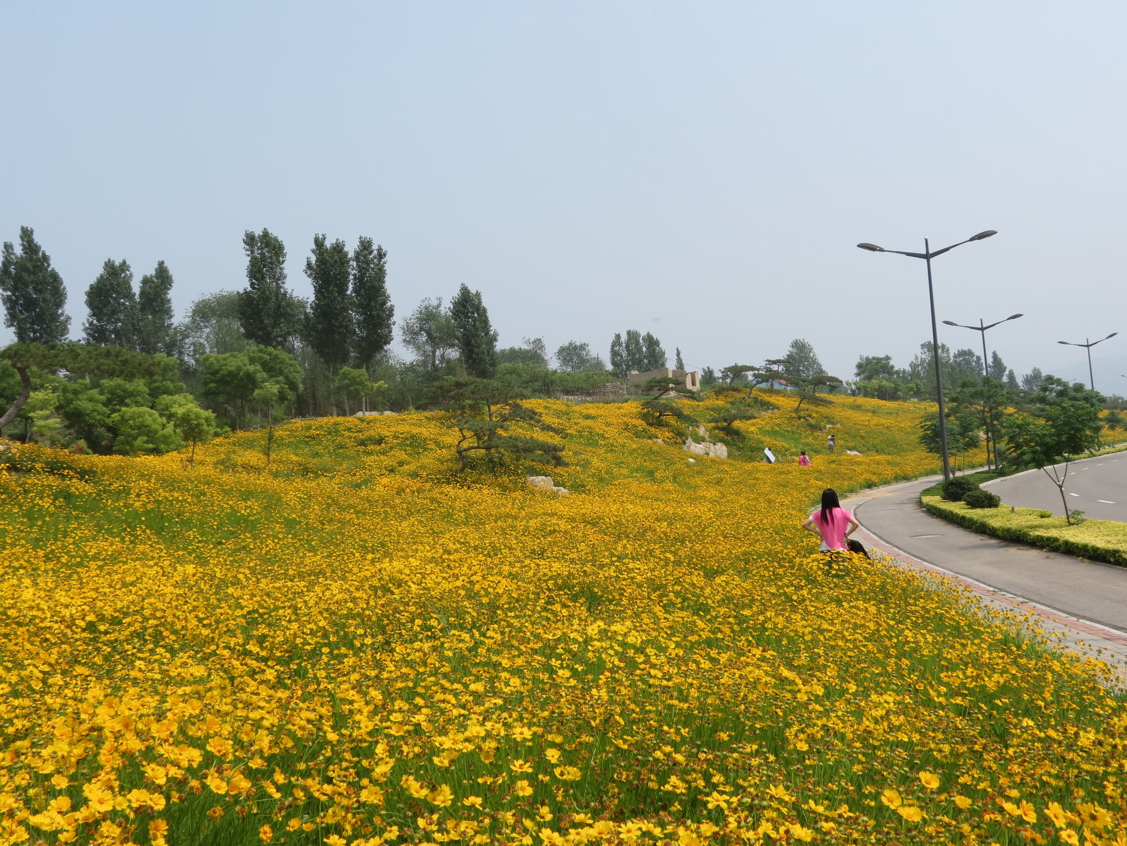 十一攻略指南,详细攻略带你轻松游玩