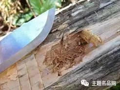 世界上操一把也不会少一把的瑞典国刀在这里-莫拉Garberg测评