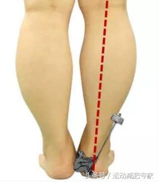 瘦小腿运动后小腿壮,小腿又粗又壮怎么瘦