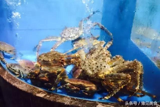 郑州冬天砂锅,郑州超好吃的9家砂锅店