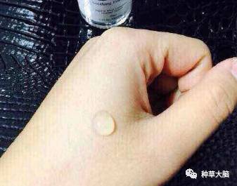 平价美白保湿精华,干性皮肤秋冬适合的保湿精华