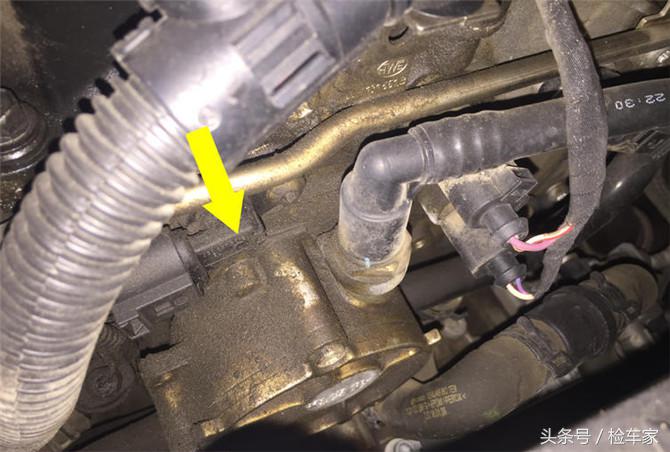 大众r36旅行版颜色,扮猪吃老虎旅行车