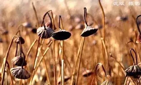 九台周边三日游去哪儿好,黄金周出游怎么玩
