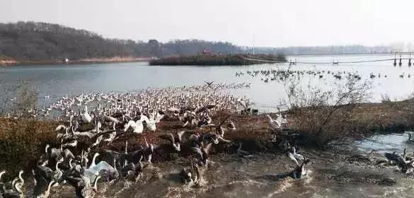 九台周边三日游去哪儿好,黄金周出游怎么玩