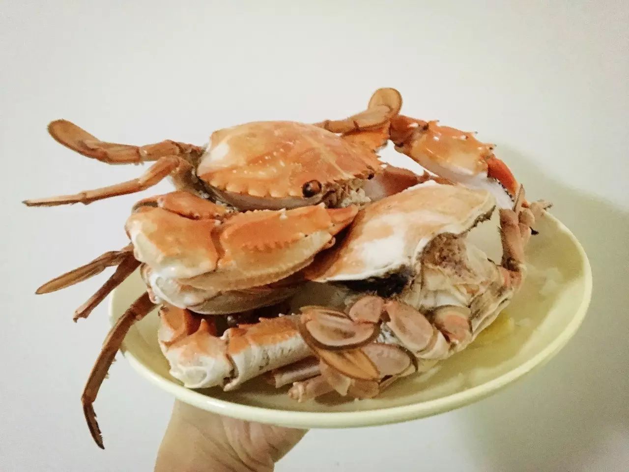 中秋节你们收到月饼吗,中秋节你们都有收到月饼吗