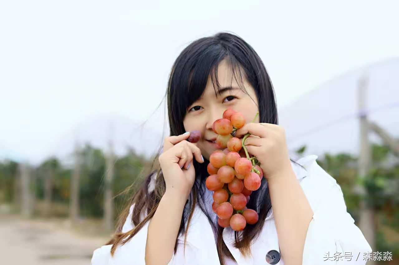 陕西合阳红提葡萄图,合阳红提葡萄节