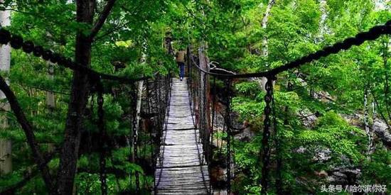 5月19号黑龙江有哪些景区免门票,黑龙江旅游日免门票景区