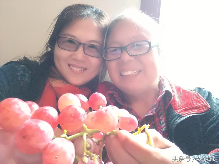 陕西合阳红提葡萄图,合阳红提葡萄节