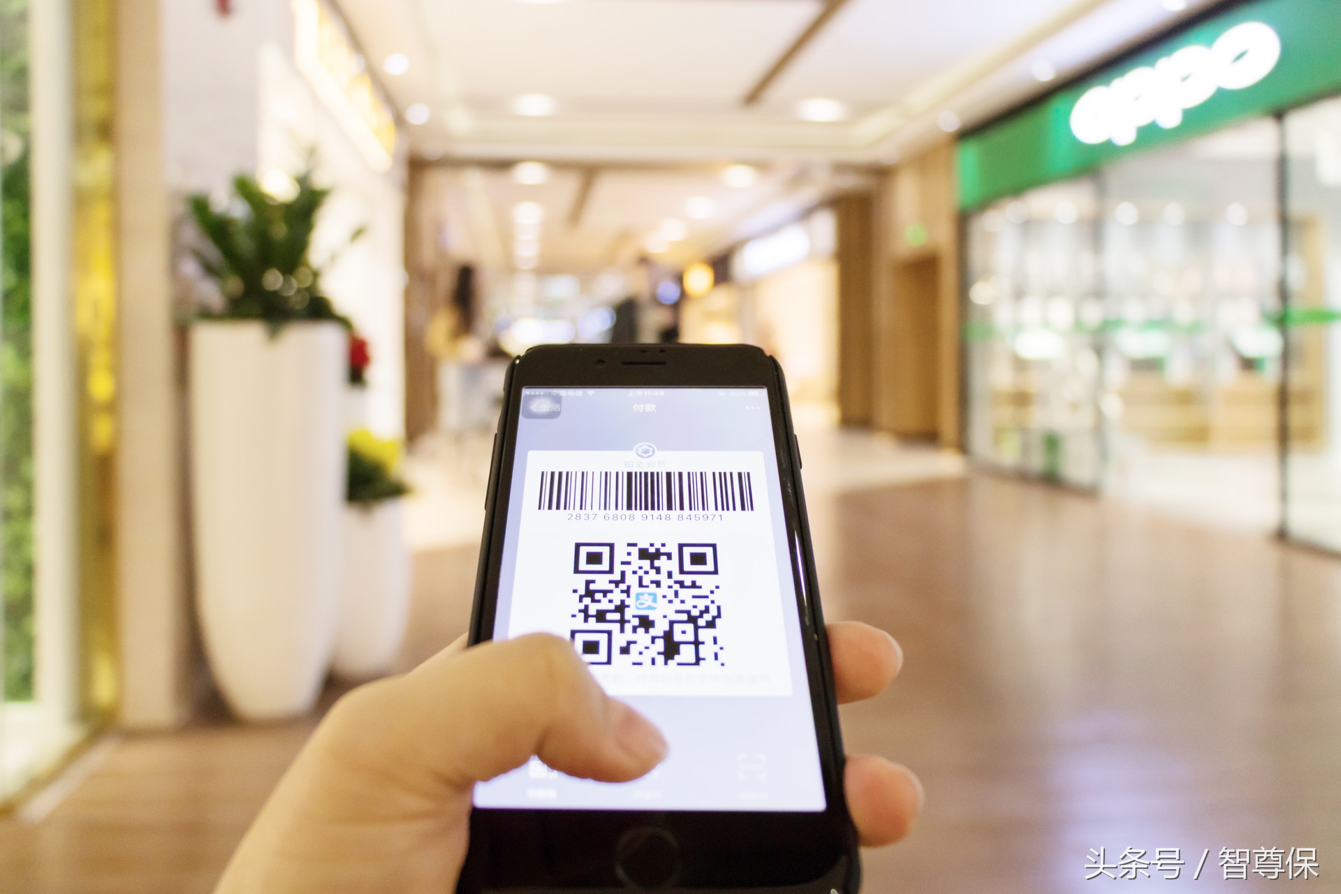 车险续保和账单分期哪个好做,车险分期有没有免息