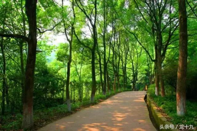 达州市最差的县城,达州最差的高中是哪个