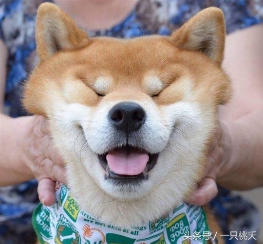 北漂辞职后悔么,北漂回家后悔吗