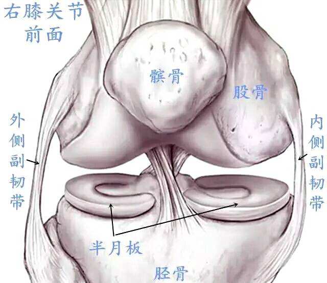 都是月亮惹的祸表达什么意思,都是月亮惹的祸背后分解