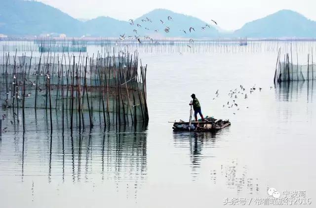 奉化旅游攻略两天一夜,十一宁波奉化旅游景点