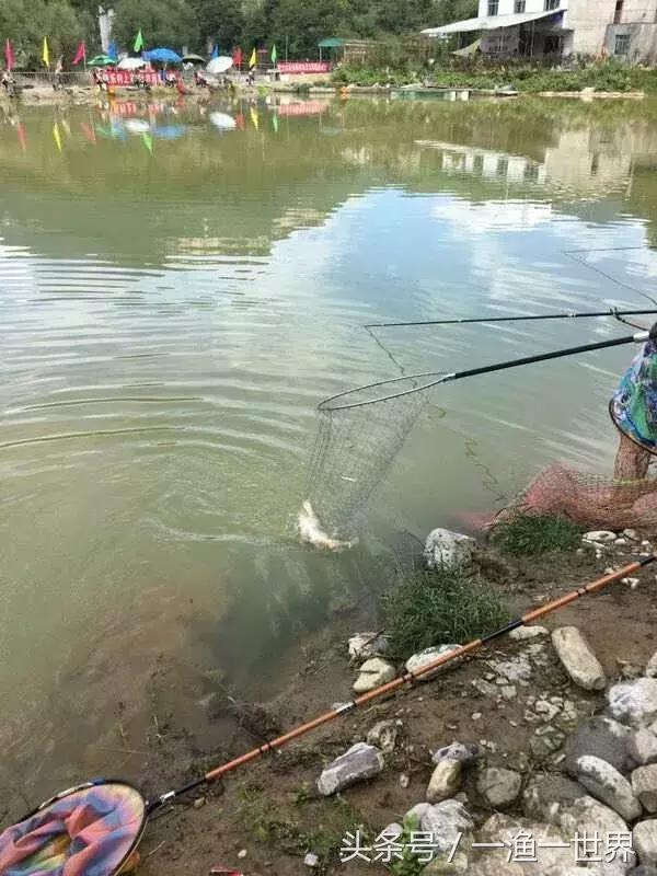 看看钓鱼人怎样打窝,最强钓鱼人怎么玩的