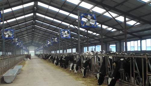 中鼎牧业股票最新消息,中鼎牧业并购