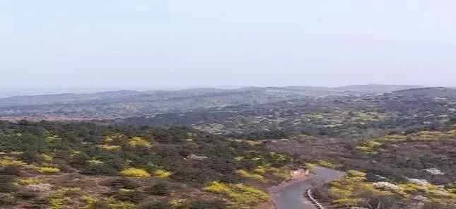 荀子的故里,荀子故里荀子诞生地纪念馆