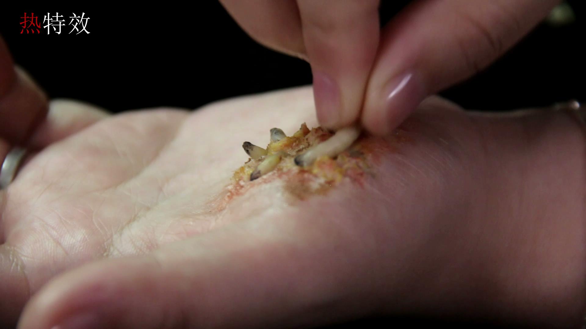 重口味妹子的福音，小清新勿看哦，这个影视化妆太重口了