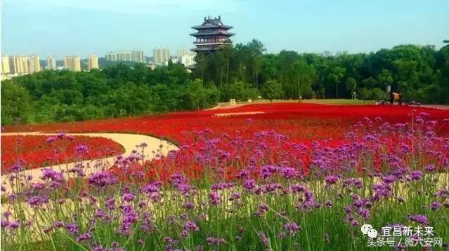 宜昌夷陵区好吗,宜昌夷陵区是宜昌最好的区吗