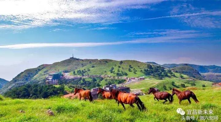 宜昌夷陵区好吗,宜昌夷陵区是宜昌最好的区吗