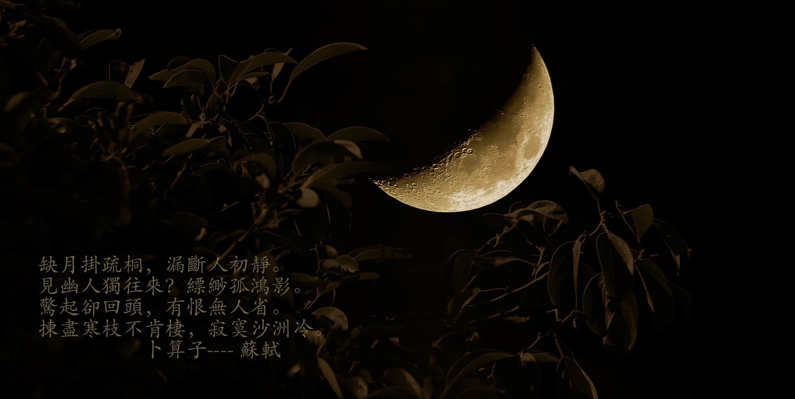 关于中秋月亮的优美诗文,中秋节夜晚的月亮真的好美