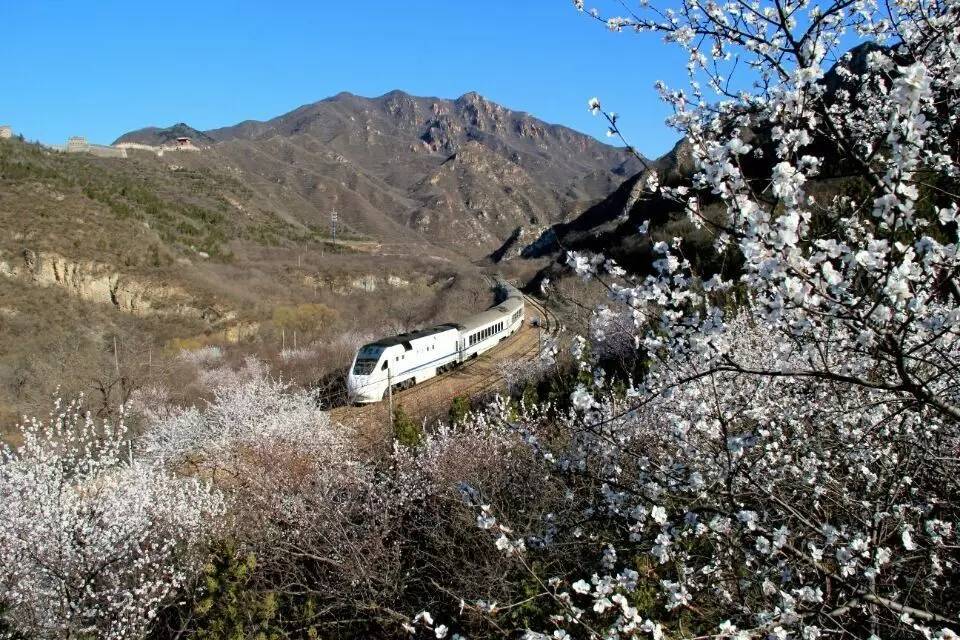 开往春天的列车图片唯美,开往春天的列车看图作文