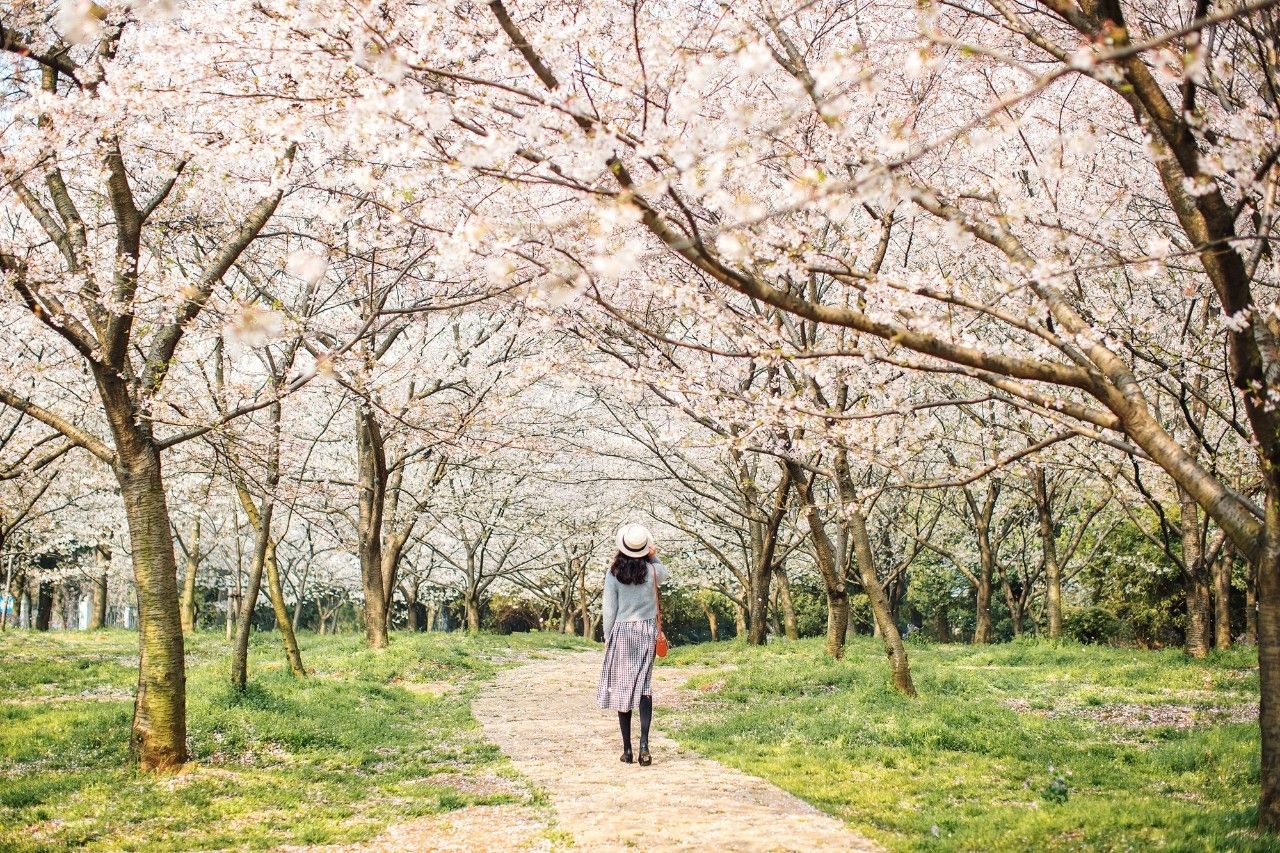 花季怎么拍好看,自由浪漫的人像照片