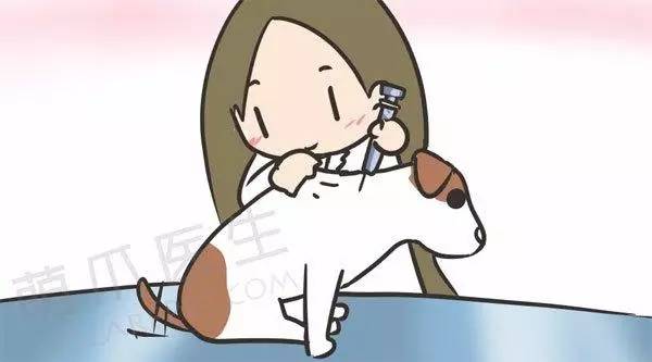 狗狗免疫针怎么打,狗狗疫苗该怎么打才合理