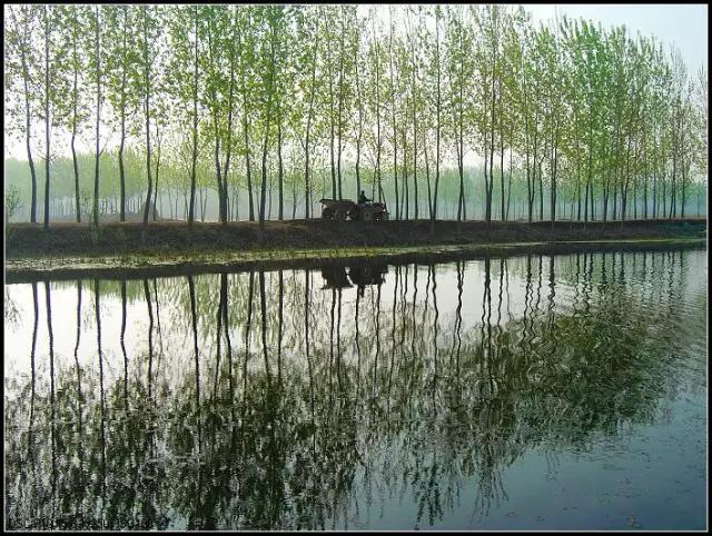 鏉庡仴鏁呬埂娌冲窛,鏁呬埂娌虫祦