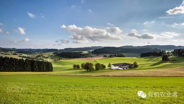 曾经|结伴跑在乡间小路上，跑过了整个童年~~