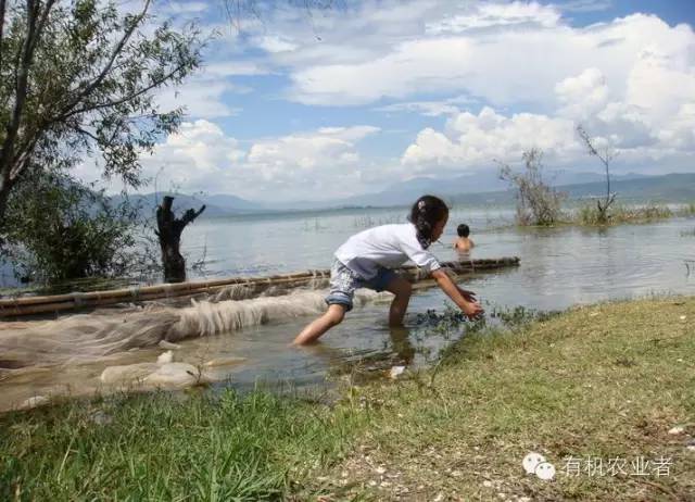 曾经|结伴跑在乡间小路上，跑过了整个童年~~
