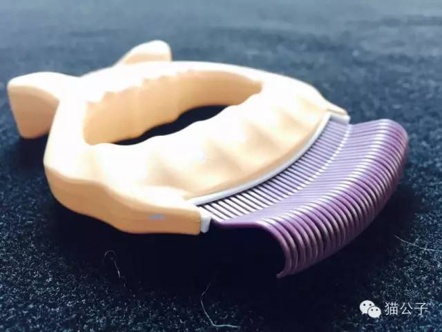 到处都是猫毛,短毛猫梳和长毛梳什么区别