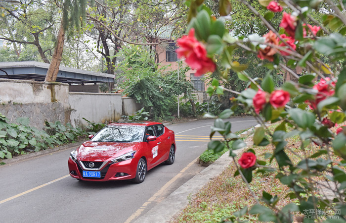 外观和实用方面也各有特色,蓝鸟外观漂亮