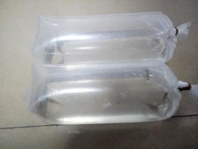 开缸的日记,开缸日记小鱼缸