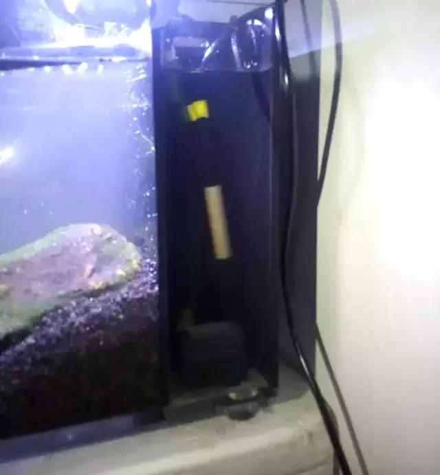 开缸的日记,开缸日记小鱼缸