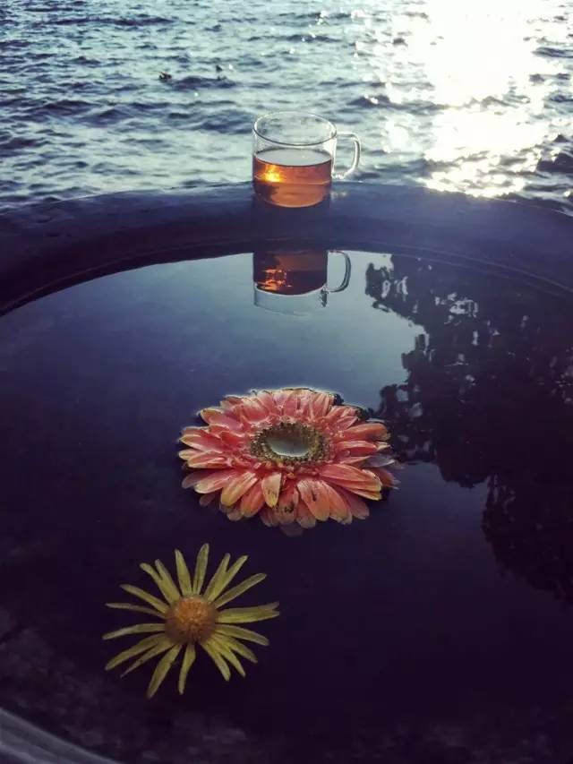 杨丽萍的太阳宫简介,杨丽萍太阳宫全部照片