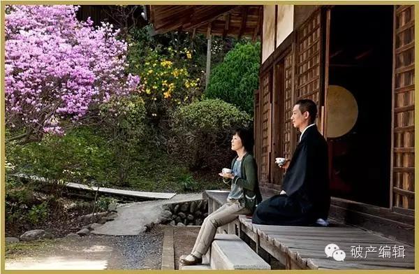 单身女人家里养猫,单身女人养猫