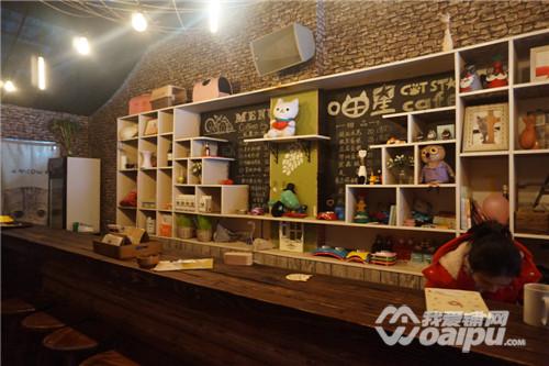 合肥潮店：喵星CatStar匆忙赶路不如蹲下撸猫