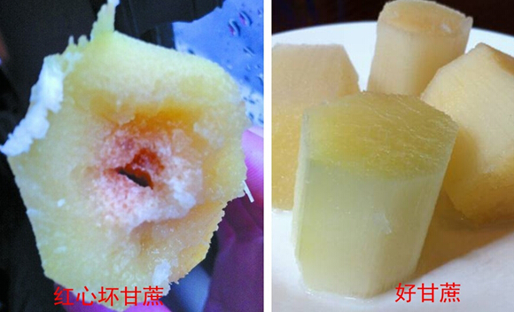 这个季节吃甘蔗有啥危害,甘蔗什么季节吃