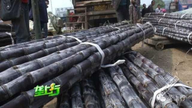 武汉汉马路线交通管制,汉马交通管制最新消息