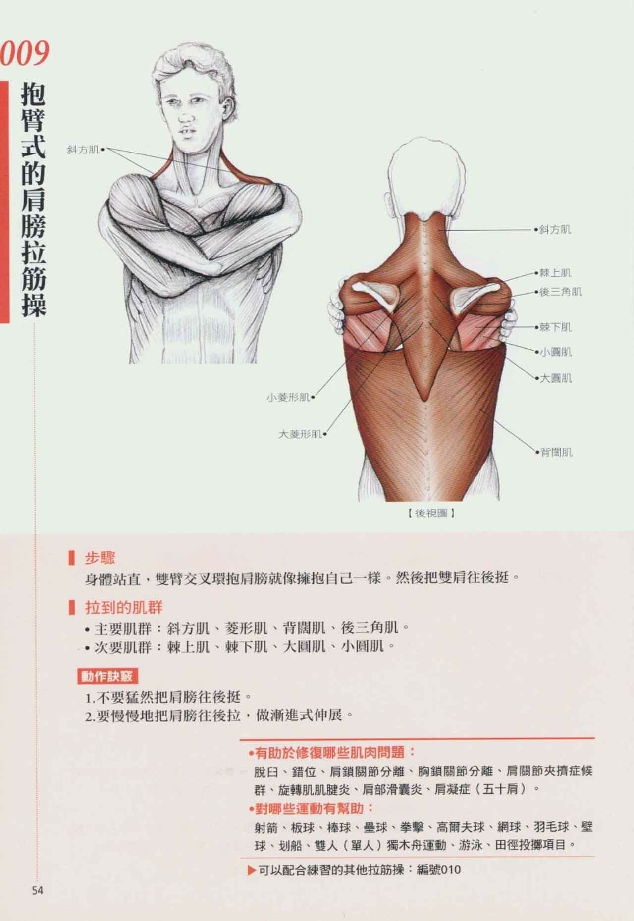 拉筋养生书,拉筋拍打书籍大全