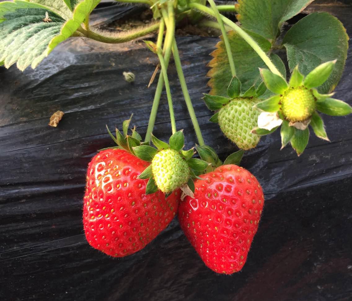 一大波的好消息袭来,一大波好消息