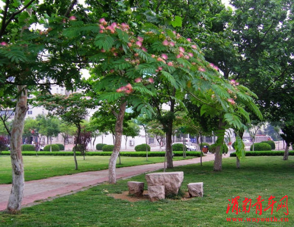 富平县流曲高中回忆,富平县富平中学官网图片