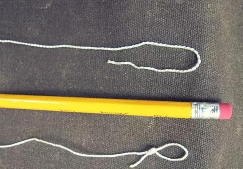 野外生存diy教你制作捕捉陷阱,野外求生陷阱简单大全