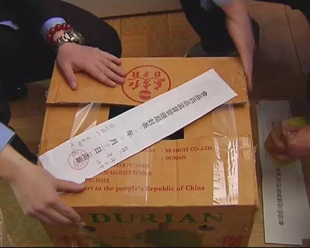 进口酸奶是什么,进口酸奶菌种安全吗