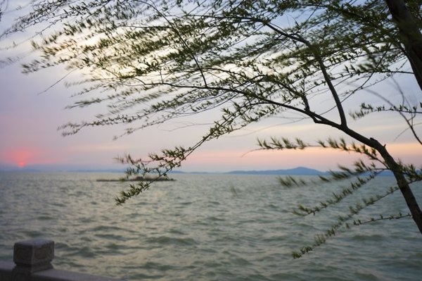 太湖舒畅之旅：乐享田园生活