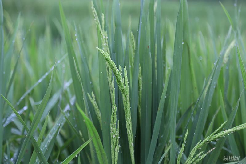 进入摄影坑不久的新人,刚入坑摄影的照片