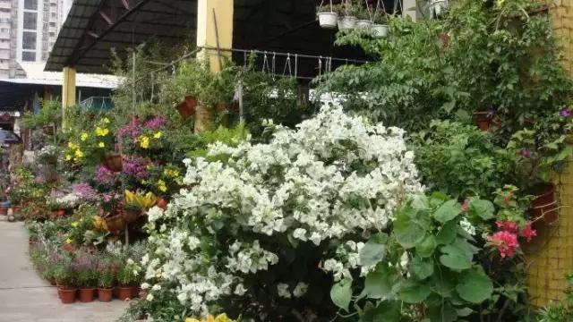 广州各品类批发市场,广州8个大批发市场